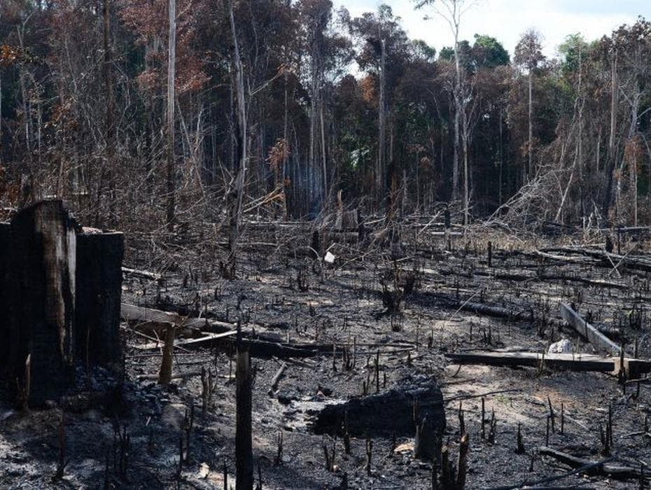 Inpe aponta crescimento de áreas com alerta de desmatamento na Amazônia