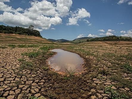 Quem disputa a categoria Clima e Sustentabilidade no Prêmio Congresso em Foco