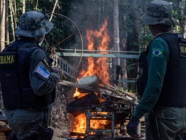 Servidores do Ibama alertam para prejuízo com corte de 31% no orçamento