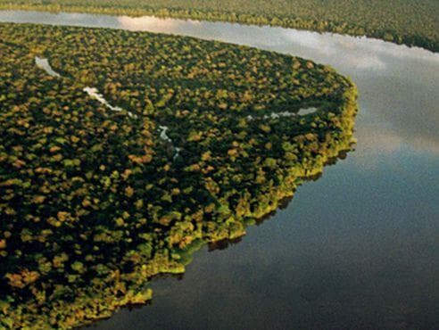 Ecologia e Teologia da Libertação