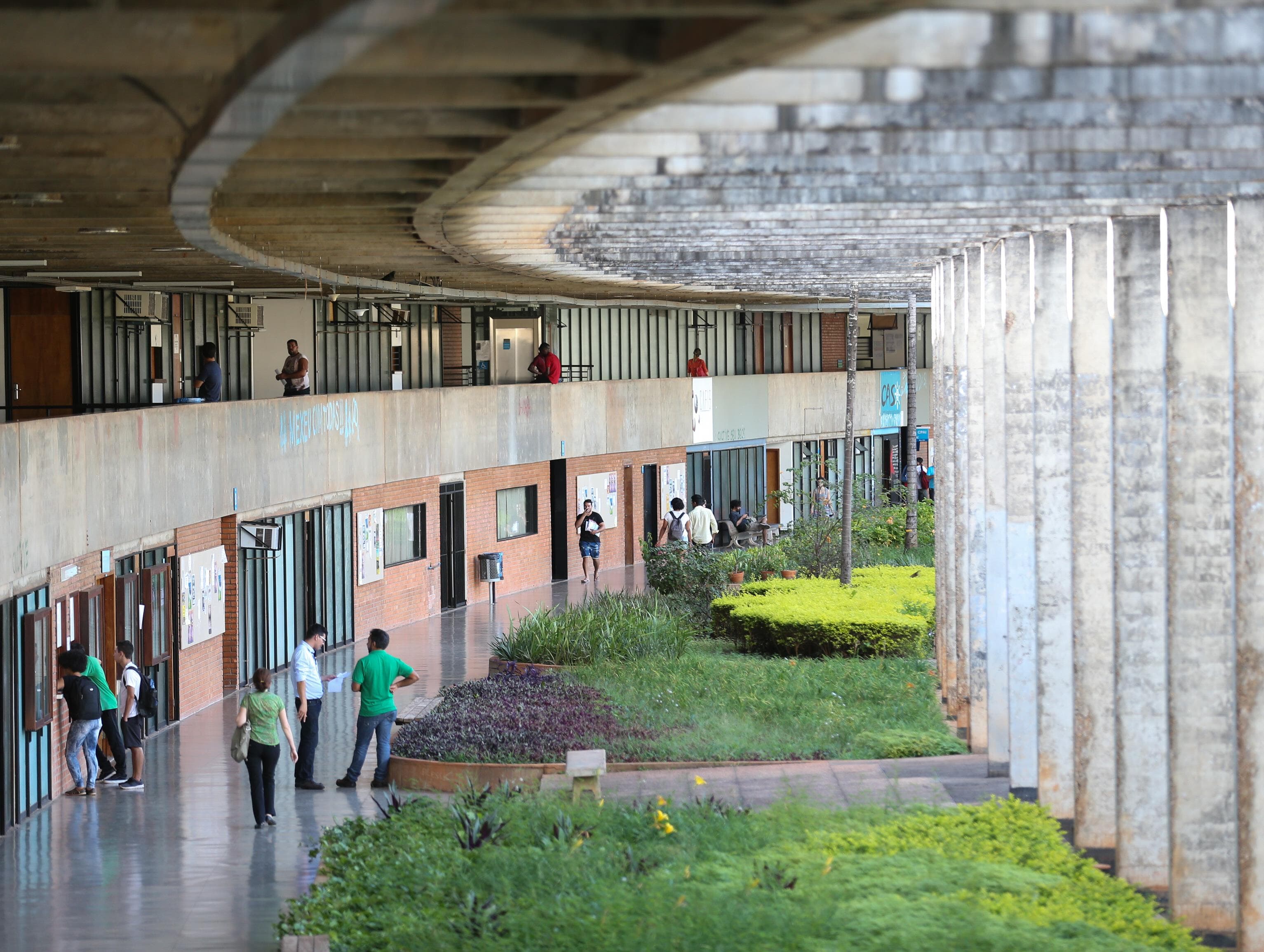 Universidades públicas em metamorfose: o que o Brasil perde com o desmanche dessas instituições