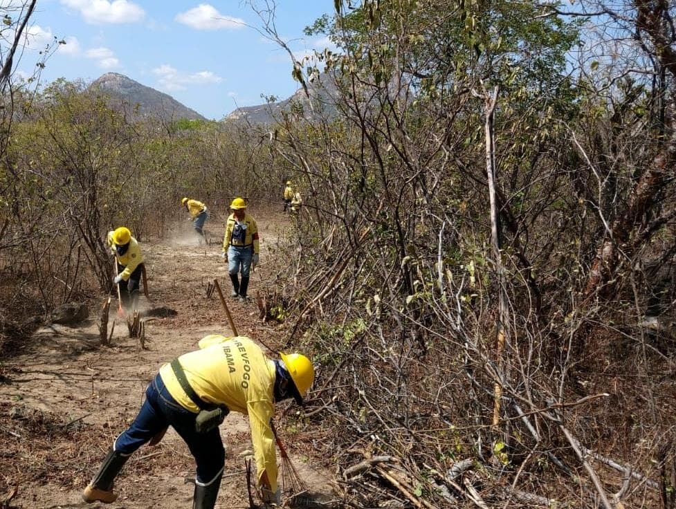 Decreto proíbe uso de fogo na produção rural por 60 dias em todo o país