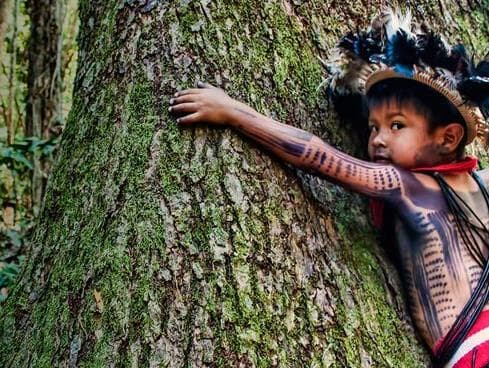 Os segredos da Amazônia antes do homem branco