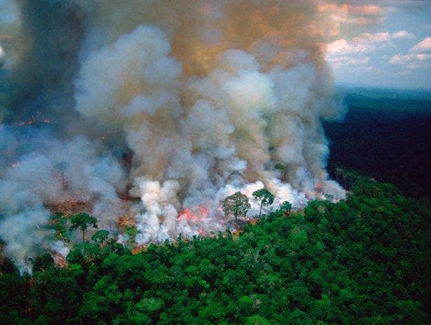 "Nossa casa está queimando", afirma Macron sobre incêndios na Amazônia