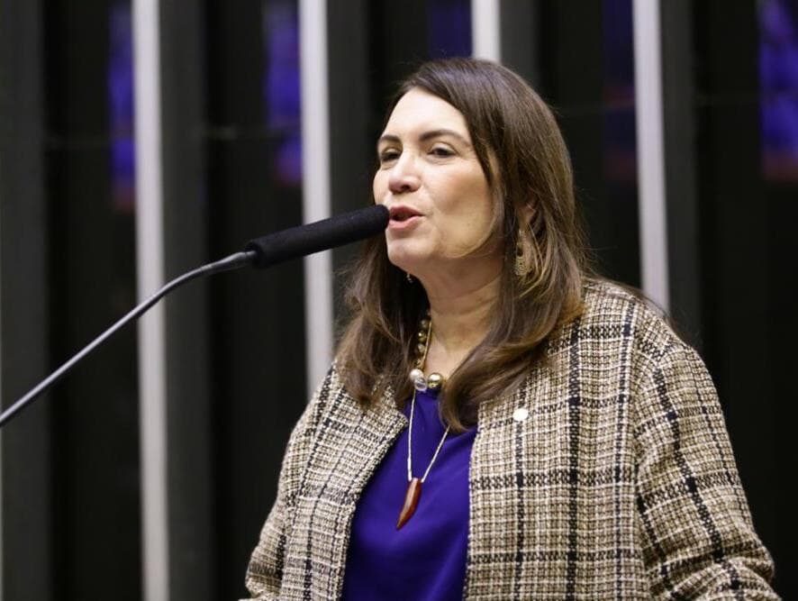 Bia Kicis assume liderança no apoio ao empreendedorismo. Veja nova parcial