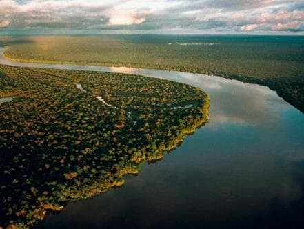 Deputado cobra ao governo orçamento para preservação da Amazônia