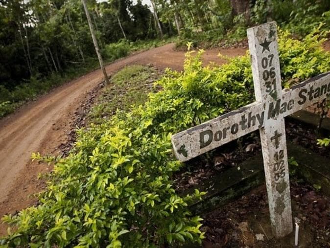 Dorothy Stang e a floresta que sangra