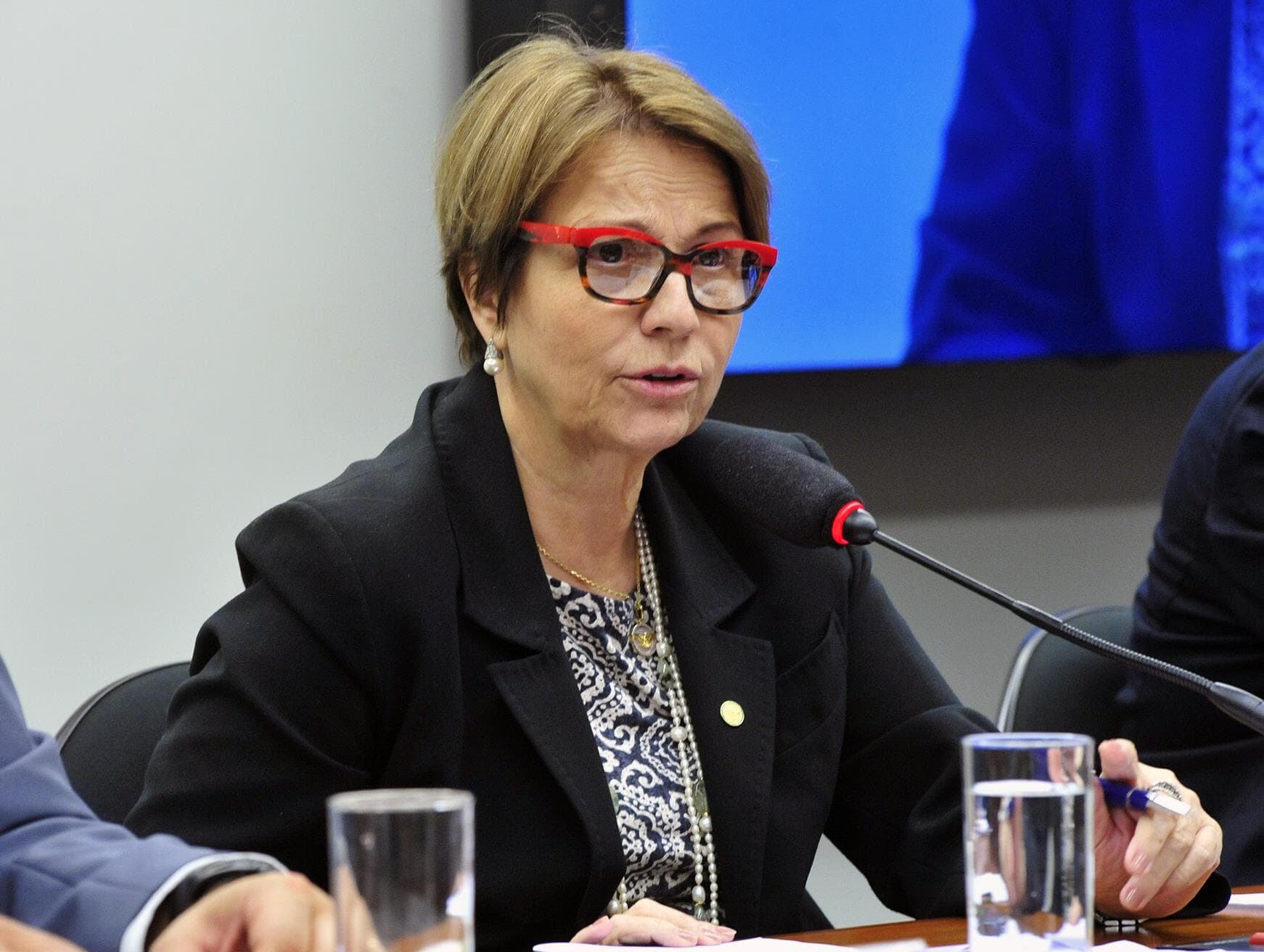 Tereza Cristina deu incentivo fiscais à JBS quando era secretária estadual