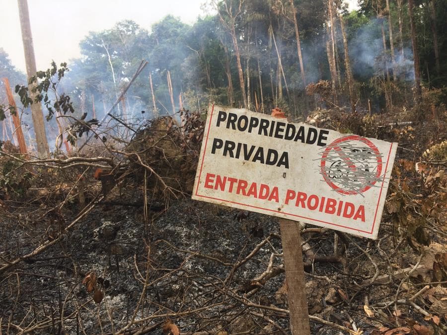 Assentados vivem conflito semelhante ao que matou Dorothy Stang na mesma região de Anapu