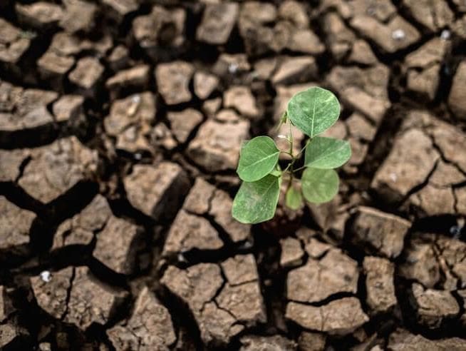 Comissão da Câmara debate mudança do clima em audiência pública