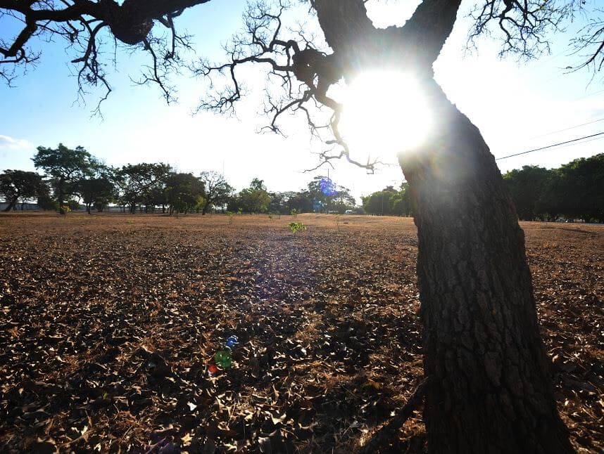 Prêmio Congresso em Foco 2022: os aptos no Clima e Sustentabilidade