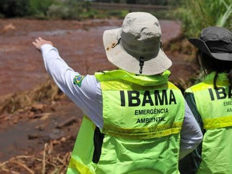 Ibama: mais de 37 mil multas ambientais vão expirar em 2024