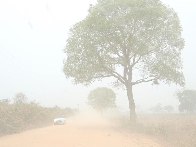 Queimadas no Pantanal aumentam 180% em setembro; na Amazônia, 60%