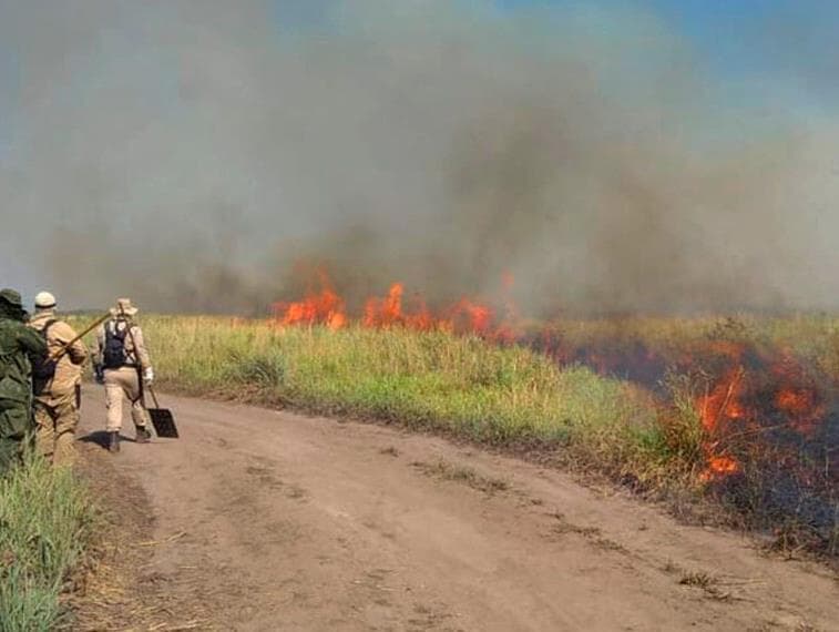 Senado aprova uso de aviões agrícolas no combate a incêndios florestais