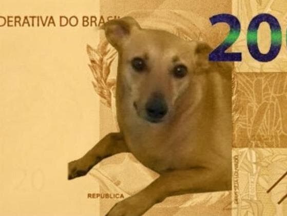 Bacen descarta vira-lata na nova nota, mas fará ação de proteção animal