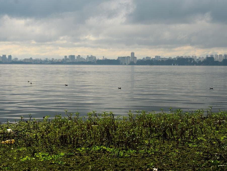 Meio ambiente é alvo de nova ofensiva no Congresso em 2020