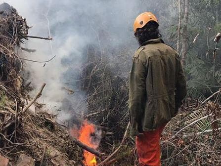 Justiça mantém prisão de ambientalistas no Pará