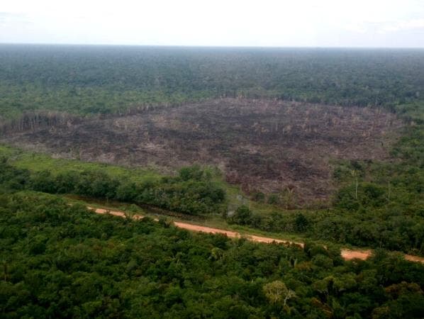 MBL prepara caminhada de 700 Km por pavimentação de BR na Amazônia