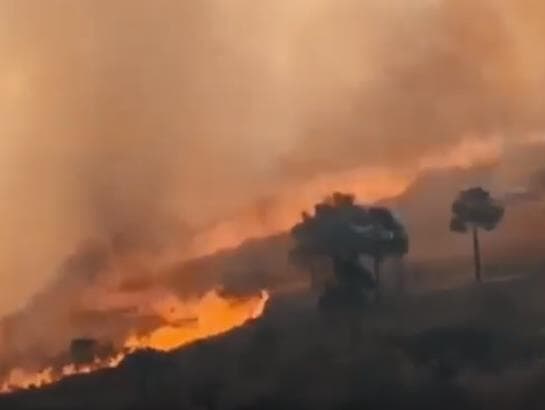 Gisele Bündchen e artistas pedem doações para combate ao incêndio na Chapada dos Veadeiros