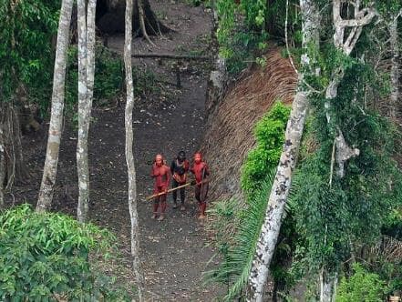 MPF apura massacre de índios por garimpeiros no Amazonas; demarcações evitariam mortes, diz Cimi