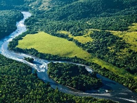 Governo maquiou novo decreto sobre reserva mineral na Amazônia, diz WWF