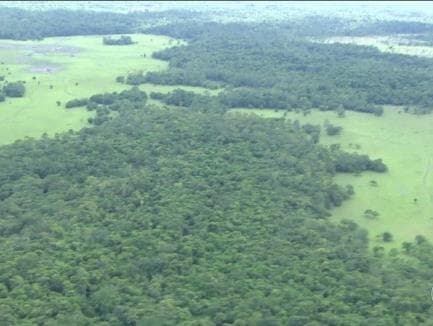 Governo recua e anuncia novo decreto para mineração em reserva na Amazônia