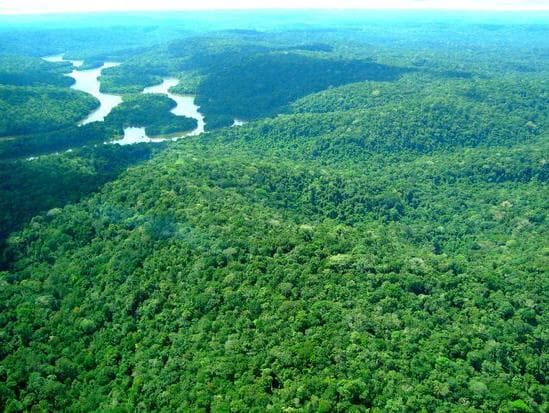 Mais de 600 mil apoiam abaixo-assinado contra exploração de minério na Amazônia