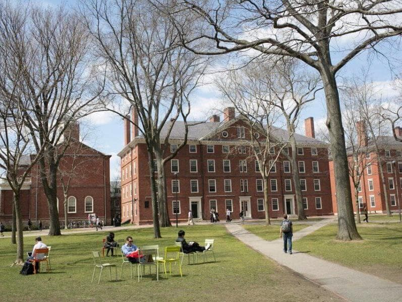 Palestrantes brasileiras relatam ter sido alvo de racismo em Harvard