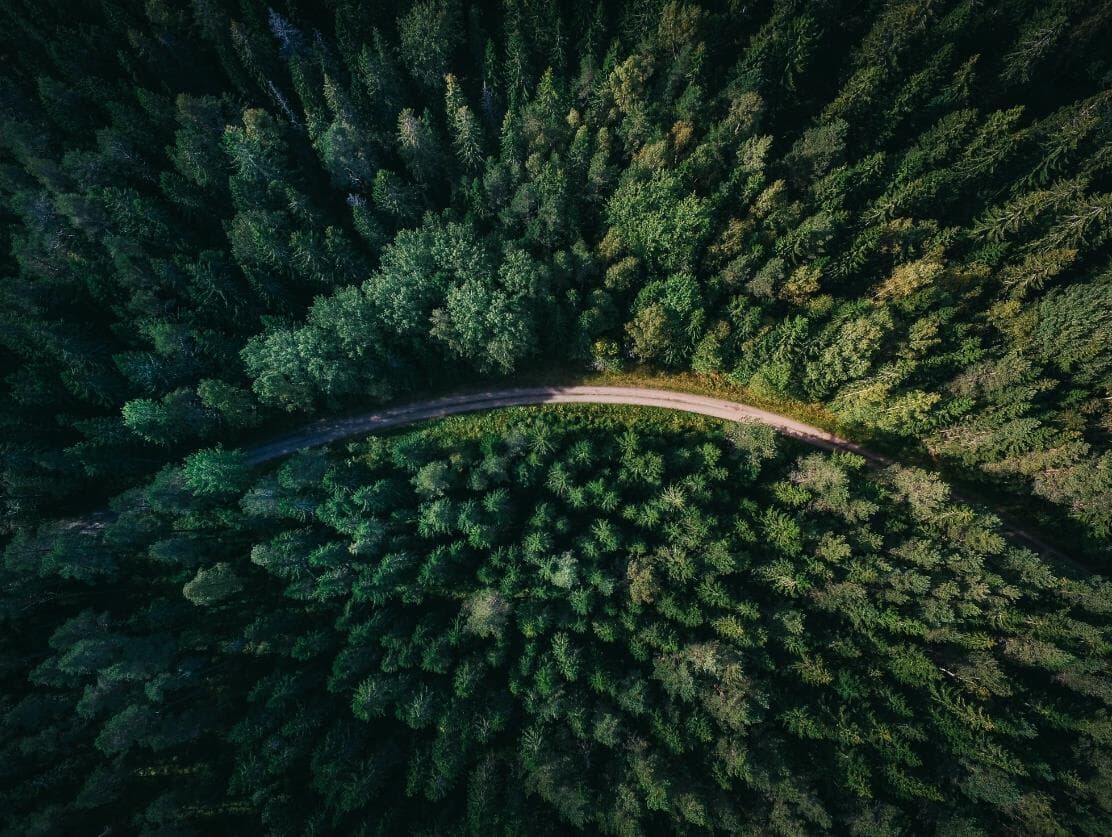 PL do Mercado de carbono floresta em pé, economia as alturas