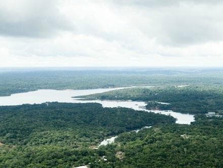 Cidadania, Florestania: a Amazônia, titular de direitos