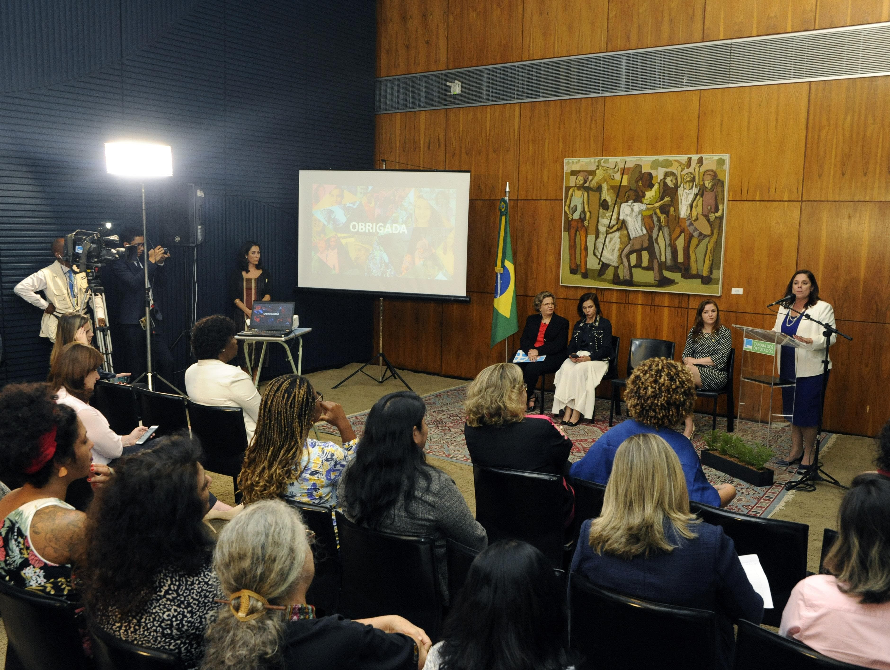 Violência domina temas dos projetos de lei sobre a mulher na Câmara