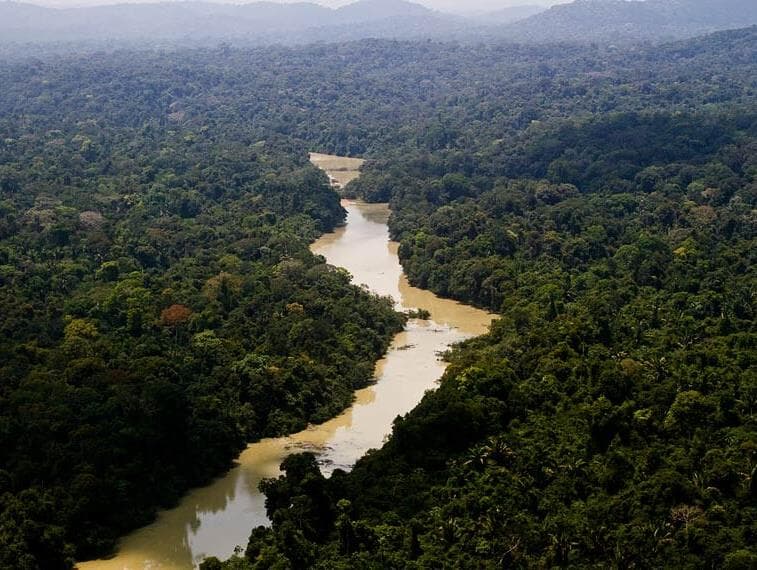 Câmara vota redução de parques nacionais em área equivalente ao dobro da cidade de São Paulo