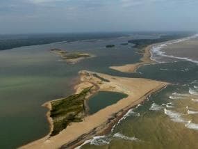 Mesmo com boias de contenção, lama atinge vegetação na foz do Rio Doce