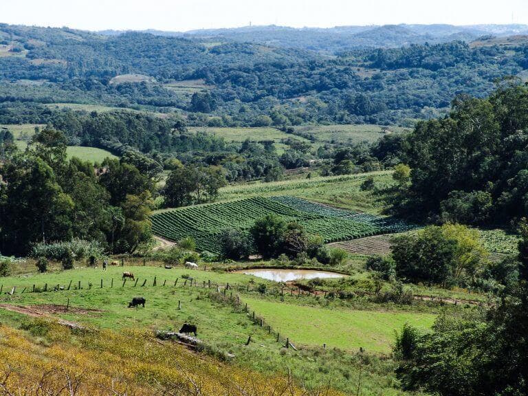 Maioria dos parlamentares é contra flexibilizar venda de terra para estrangeiros