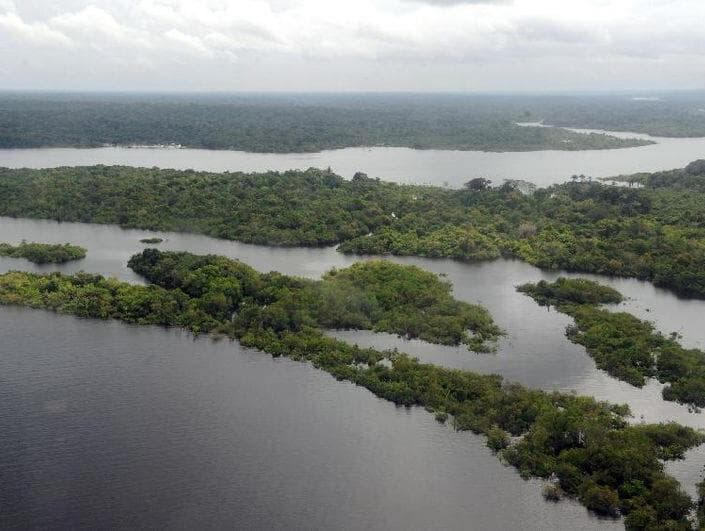 Conheça as propostas de Bolsonaro e Haddad para o meio ambiente