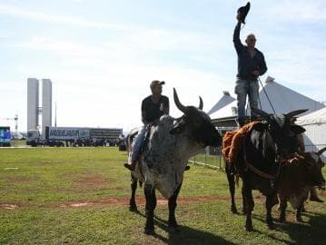 Na contramão do STF, Senado aprova projeto que torna vaquejada patrimônio cultural