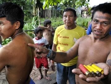 Rede denuncia ataque de madeireiros a indígenas no Maranhão