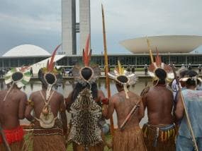 Governo quer suspender R$ 221 milhões em multas contra biopirataria