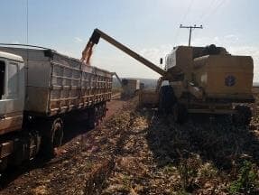 Brasil cresceu 2,3% em 2013, segundo o IBGE