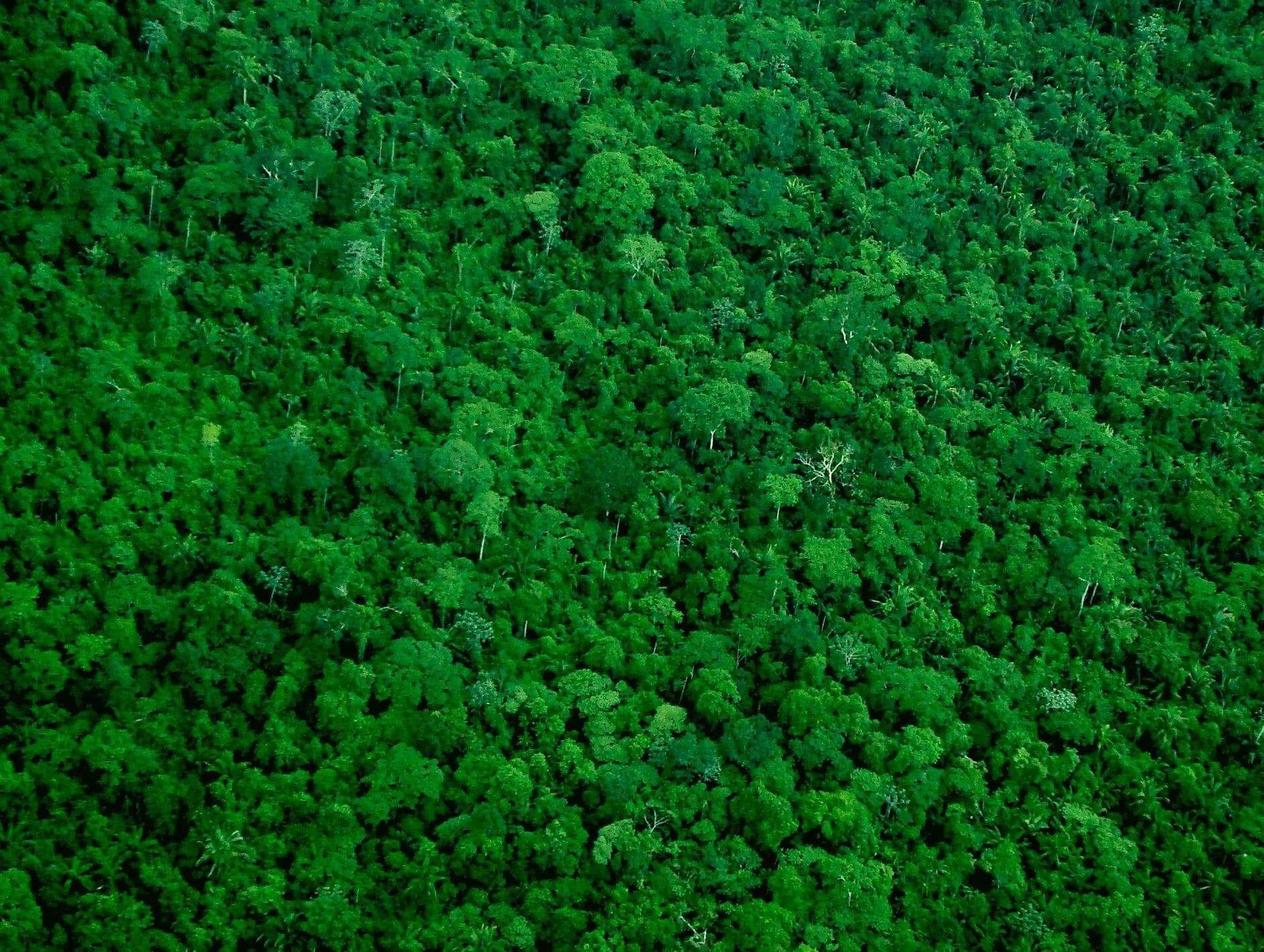 General Heleno autorizou garimpo em áreas preservadas da Amazônia, indica jornal