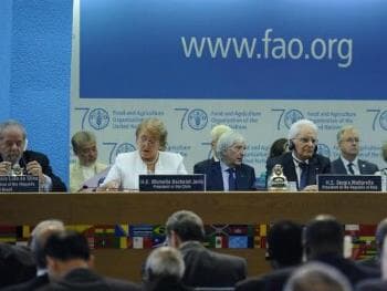 José Graziano é reeleito diretor-geral da FAO