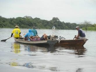 Petrobras anuncia produção de biodiesel a partir de óleo de peixe