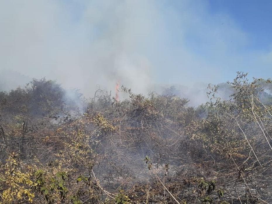 Governo autoriza emprego da Força Nacional no Pantanal sul-matogrossense