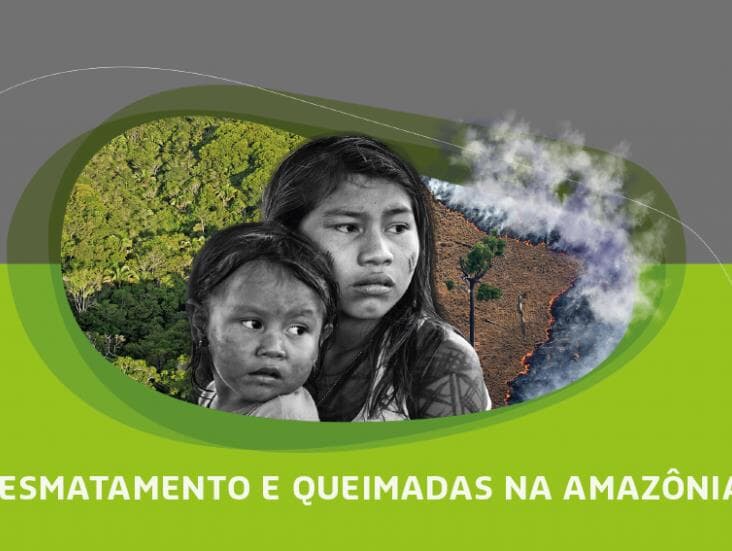 COP25: sociedade civil pede ajuda internacional para a Amazônia