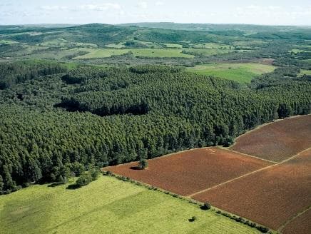 Brasil é pioneiro no monitoramento da cobertura vegetal Amazônica