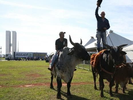 Câmara aprova em segundo turno liberação de rodeios e vaquejadas. Texto será promulgado