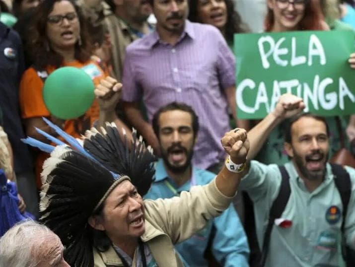 Brasil é o segundo país com mais mortes de defensores do meio ambiente