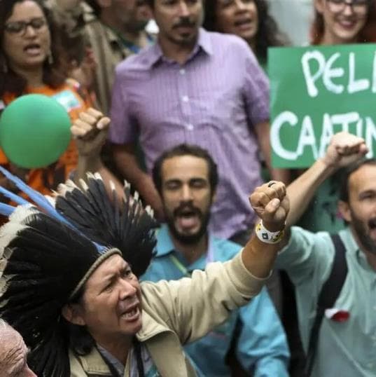 Brasil é o segundo país com mais mortes de defensores do meio ambiente