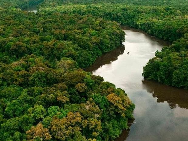 Governador do MT volta atrás e veta projeto que reclassifica a Amazônia