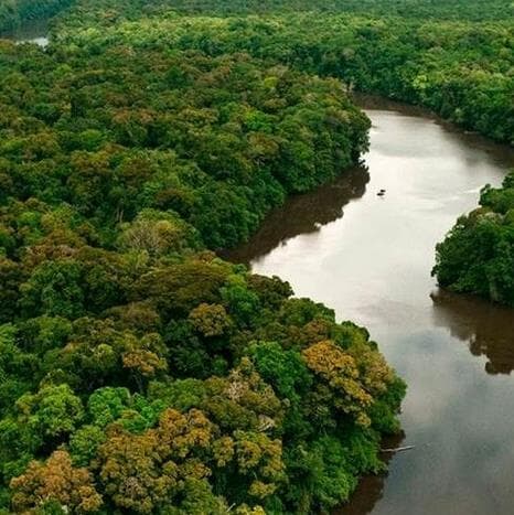 Governador do MT volta atrás e veta projeto que reclassifica a Amazônia